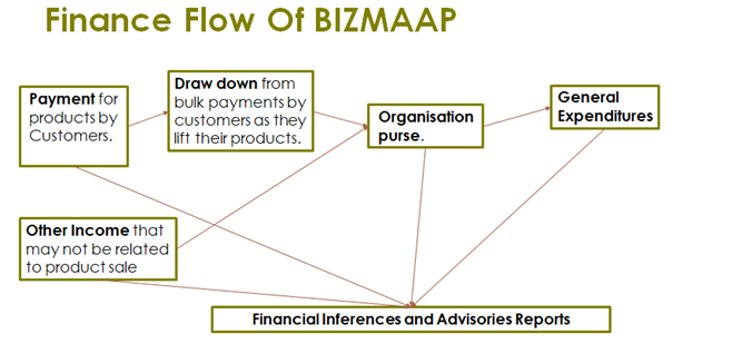 Bizmaap Finance Flow